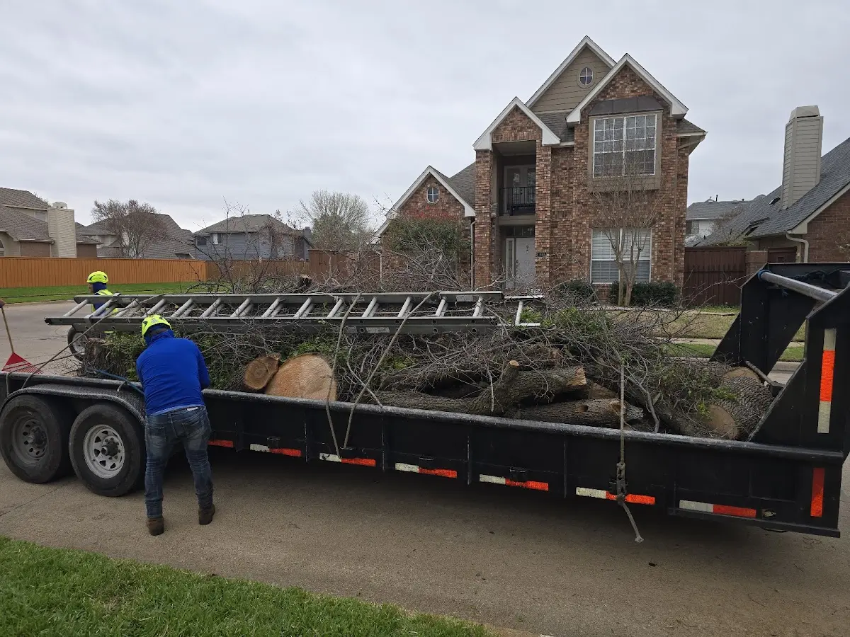 Expert Tree Removal with proper safety equipment in Robbins
